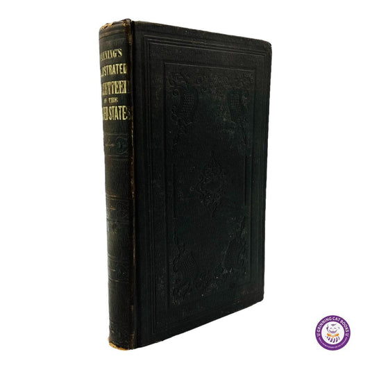 Fanning's Illustrated Gazetteer of the United States - Grinning Cat Books - AMERICANA - AMERICAN HISTORY