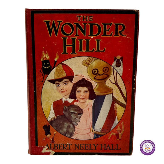 The Wonder Hill - Grinning Cat Books - CHILDREN'S LITERATURE - 