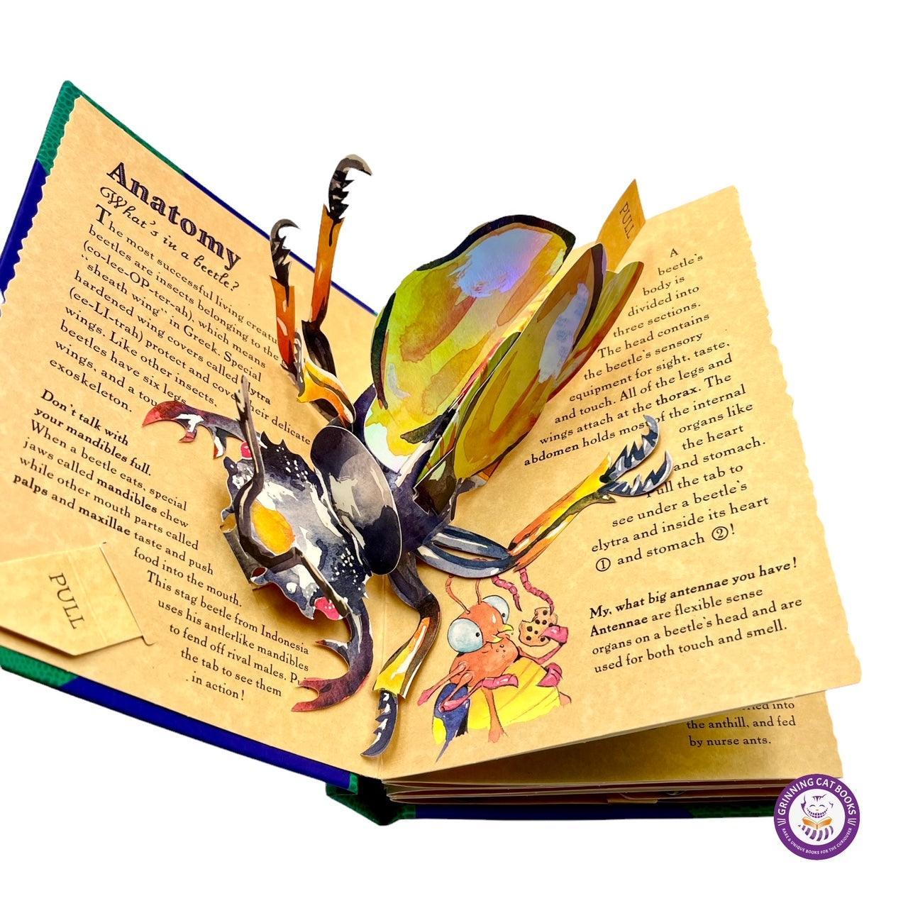 Young Naturalist's Pop-Up Handbook: Beetles - Grinning Cat Books - CHILDREN'S LITERATURE - POPUP