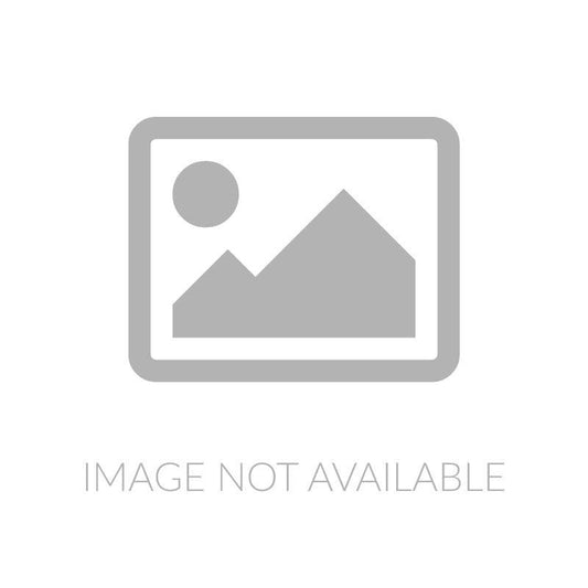 The Bridge in the Jungle - Grinning Cat Books - LITERATURE - ENGLISH LITERATURE